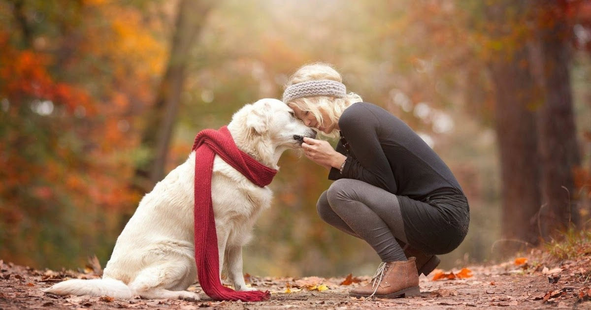 Pets Life Explored: 10 Gifts of Pet Love