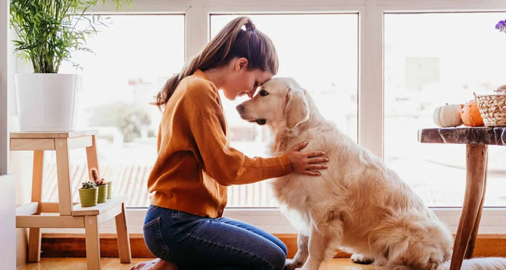Pet-Proof Home: Preparing Your Place for a New Pet