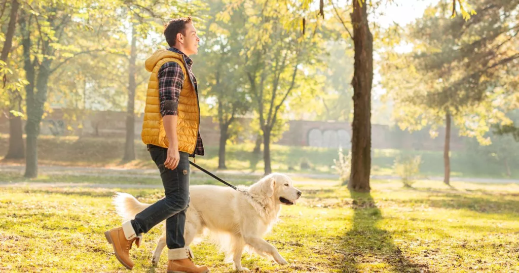 Seasonal Care: Keeping Your Pet Healthy All Year Round