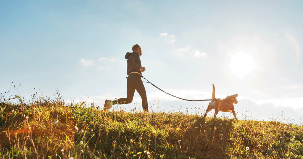 The Importance of Exercise for Happy and Healthy Pets
